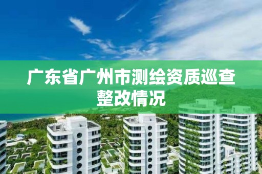 廣東省廣州市測繪資質巡查整改情況