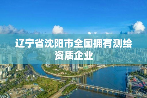 遼寧省沈陽市全國擁有測繪資質(zhì)企業(yè)