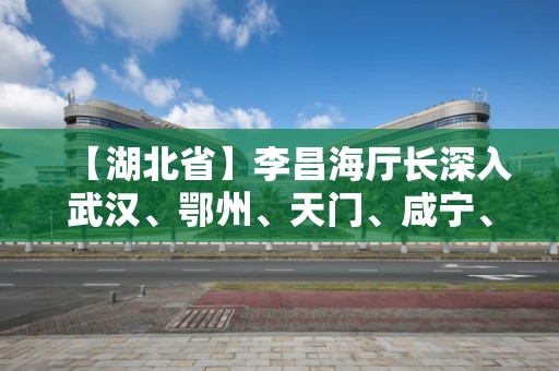 【湖北省】李昌海廳長深入武漢、鄂州、天門、咸寧、荊門檢查社區（小區）封閉管理工作