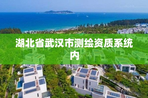 湖北省武漢市測繪資質系統內