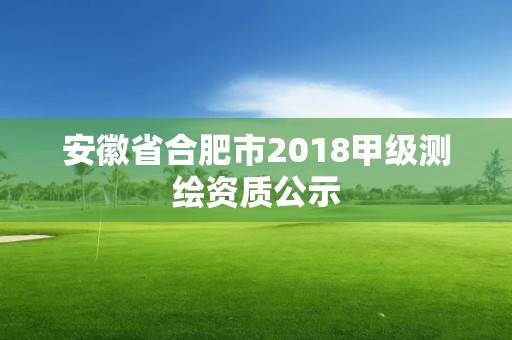 安徽省合肥市2018甲級測繪資質公示