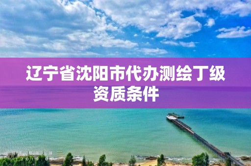 遼寧省沈陽市代辦測(cè)繪丁級(jí)資質(zhì)條件