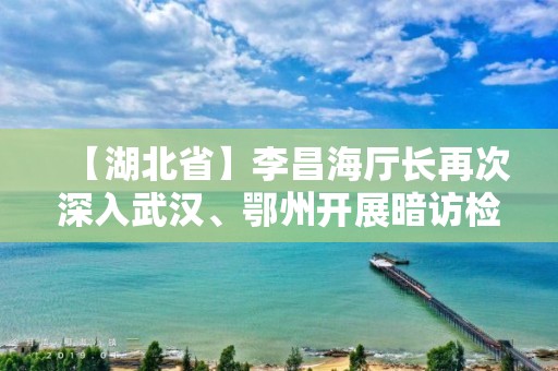 【湖北省】李昌海廳長再次深入武漢、鄂州開展暗訪檢查社區（小區）封閉管理工作