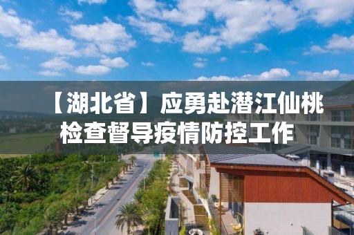 【湖北省】應勇赴潛江仙桃檢查督導疫情防控工作