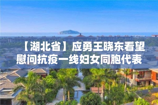 【湖北省】應勇王曉東看望慰問抗疫一線婦女同胞代表