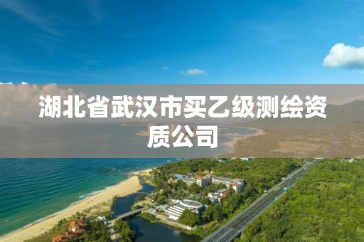 湖北省武漢市買乙級測繪資質(zhì)公司