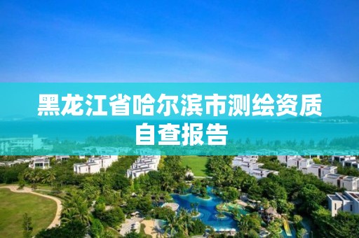 黑龍江省哈爾濱市測繪資質自查報告