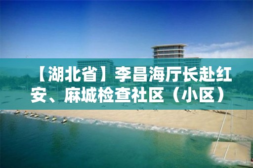 【湖北省】李昌海廳長赴紅安、麻城檢查社區（小區）封閉管理工作