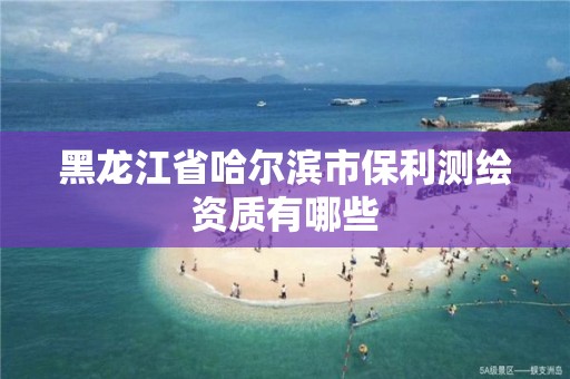 黑龍江省哈爾濱市保利測繪資質有哪些