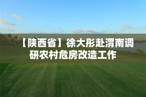 【陜西省】徐大彤赴渭南調(diào)研農(nóng)村危房改造工作