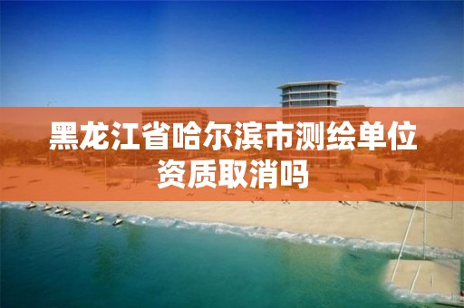 黑龍江省哈爾濱市測繪單位資質取消嗎