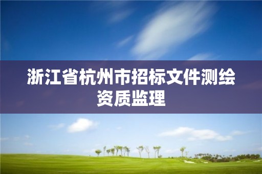 浙江省杭州市招標(biāo)文件測繪資質(zhì)監(jiān)理