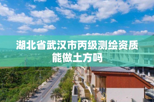 湖北省武漢市丙級測繪資質能做土方嗎