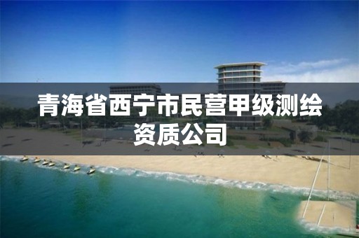 青海省西寧市民營甲級測繪資質公司