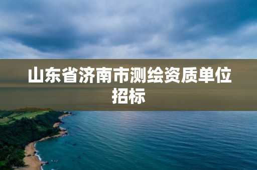 山東省濟(jì)南市測(cè)繪資質(zhì)單位招標(biāo)