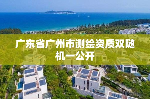 廣東省廣州市測繪資質雙隨機一公開