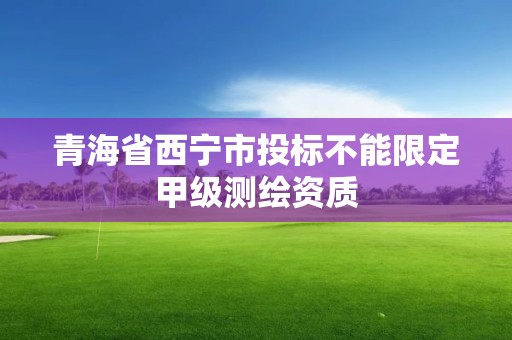 青海省西寧市投標不能限定甲級測繪資質