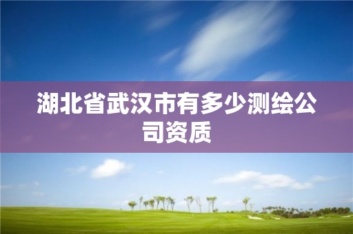 湖北省武漢市有多少測(cè)繪公司資質(zhì)