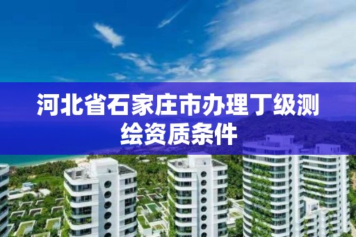 河北省石家莊市辦理丁級測繪資質條件