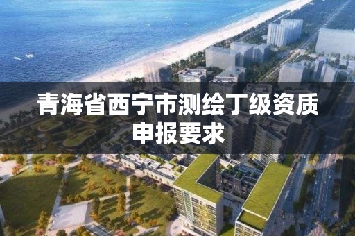 青海省西寧市測繪丁級資質申報要求