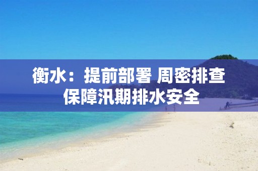 衡水：提前部署 周密排查 保障汛期排水安全