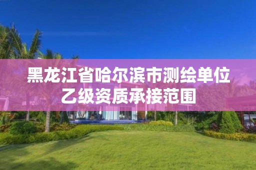 黑龍江省哈爾濱市測繪單位乙級資質承接范圍