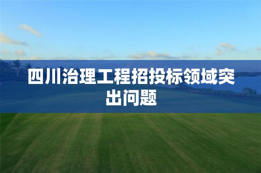 四川治理工程招投標領域突出問題