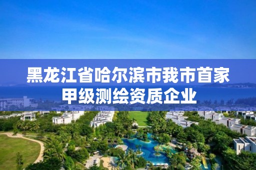 黑龍江省哈爾濱市我市首家甲級測繪資質企業