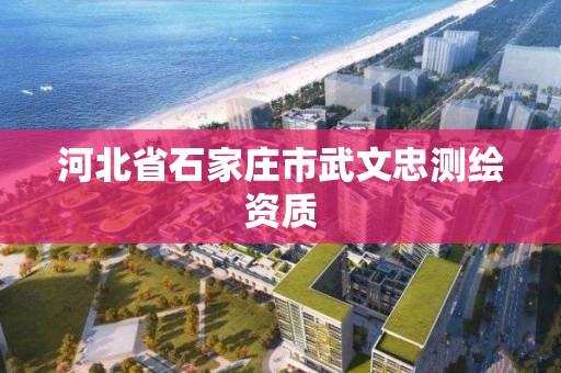 河北省石家莊市武文忠測繪資質