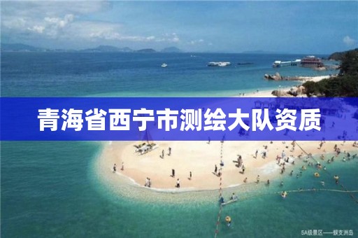 青海省西寧市測(cè)繪大隊(duì)資質(zhì)