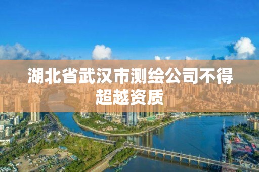 湖北省武漢市測繪公司不得超越資質