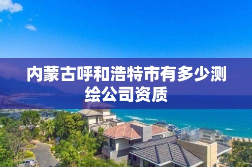 內(nèi)蒙古呼和浩特市有多少測繪公司資質(zhì)