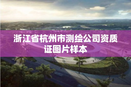 浙江省杭州市測(cè)繪公司資質(zhì)證圖片樣本