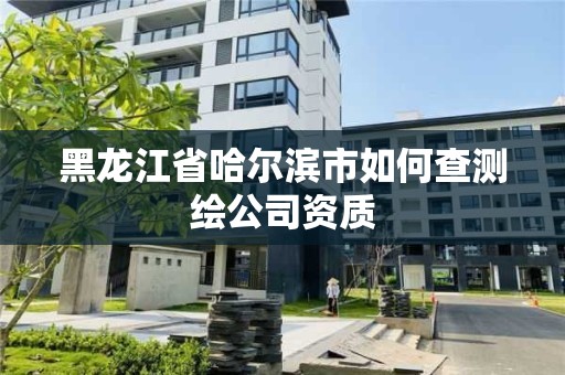 黑龍江省哈爾濱市如何查測繪公司資質