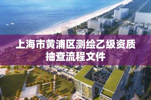 上海市黃浦區測繪乙級資質抽查流程文件