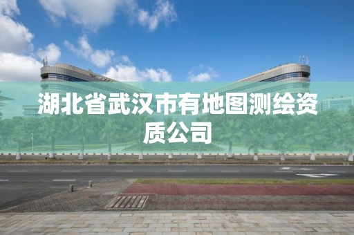 湖北省武漢市有地圖測繪資質公司