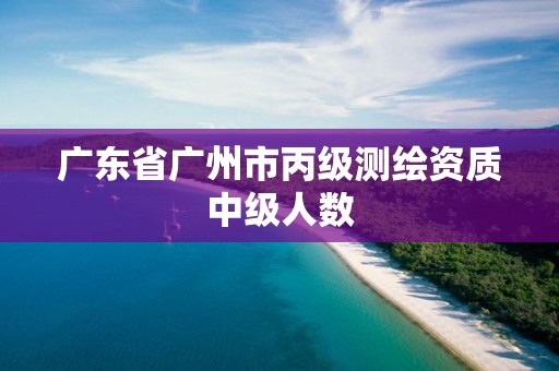 廣東省廣州市丙級(jí)測(cè)繪資質(zhì)中級(jí)人數(shù)