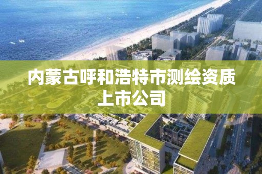 內蒙古呼和浩特市測繪資質上市公司