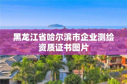 黑龍江省哈爾濱市企業測繪資質證書圖片