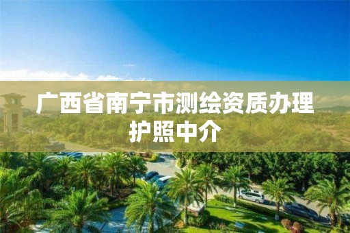 廣西省南寧市測(cè)繪資質(zhì)辦理護(hù)照中介