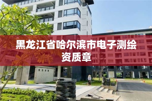 黑龍江省哈爾濱市電子測繪資質章