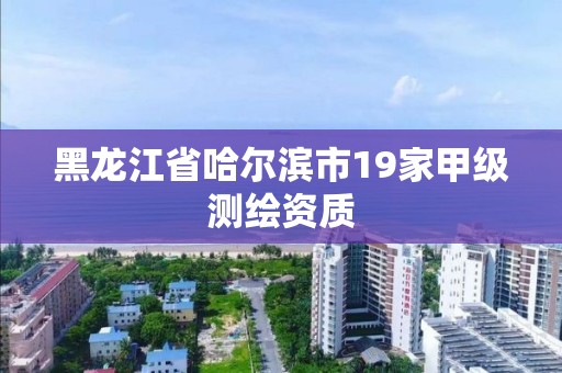 黑龍江省哈爾濱市19家甲級測繪資質