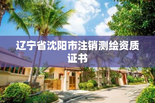 遼寧省沈陽市注銷測繪資質證書