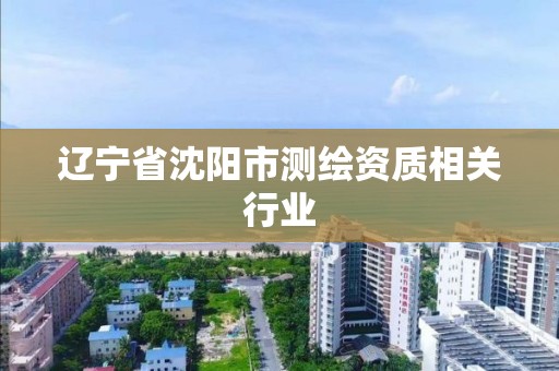 遼寧省沈陽市測繪資質相關行業