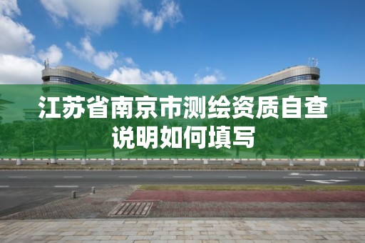 江蘇省南京市測繪資質自查說明如何填寫