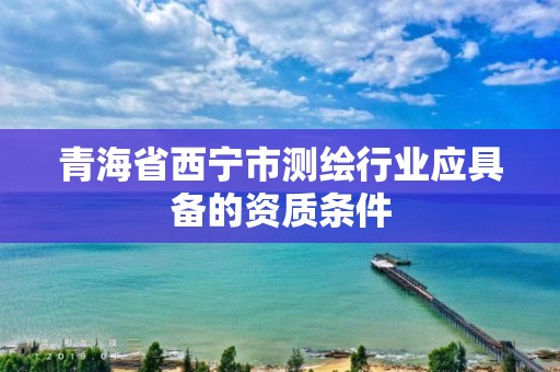 青海省西寧市測繪行業應具備的資質條件