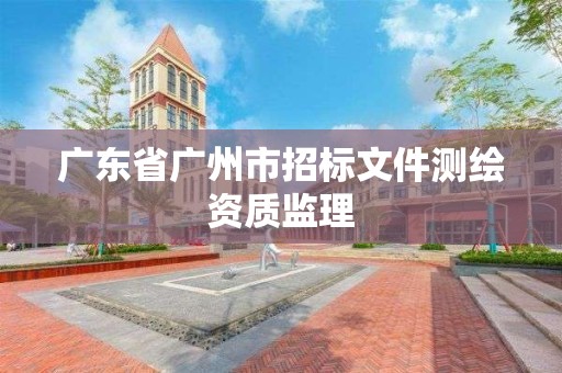 廣東省廣州市招標文件測繪資質監理