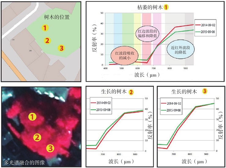 衛星遙感數據是怎樣獲取的？如何從中提取有用信息？