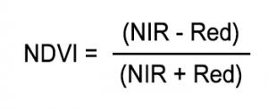 什么是NDVI（歸一化植被指數）？