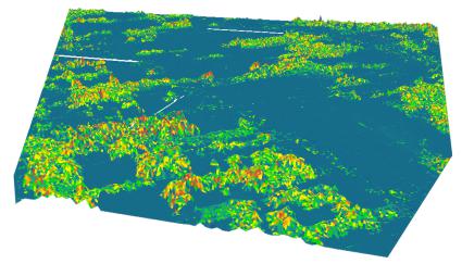 DEM、DSM 和 DTM 的區(qū)別——GIS 中的高程模型